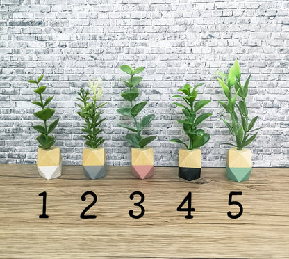 Modern miniature plant in a wooden pot, dollhouse decoration, miniature accessories
