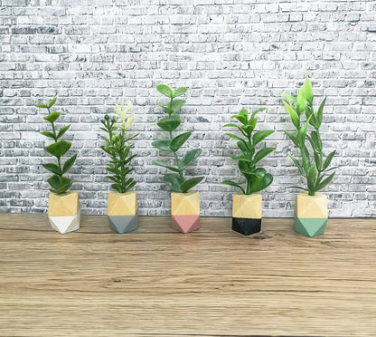 Modern miniature plant in a wooden pot, dollhouse decoration, miniature accessories