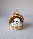 Miniature Rattan Doghouse with Tiny Plush Dog – Dollhouse Furniture